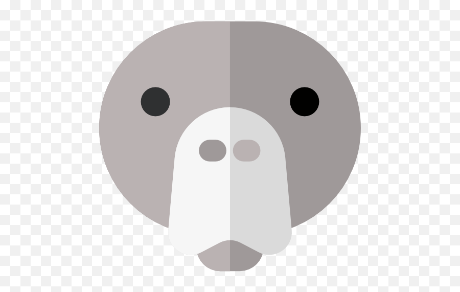 Face Animal Head Front Animals Walrus Outline Frontal - Cartoon Png,Cow Head Png