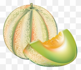 Tube Fruit Melon Png Dessin - Melone Melon Drawing Comment Dessiner Un Melon,Melon Png
