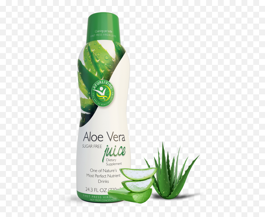Aloe Vera - Aloe Vera Png,Aloe Vera Png