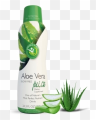 Aloe Vera - Aloe Vera Png,Aloe Vera Png