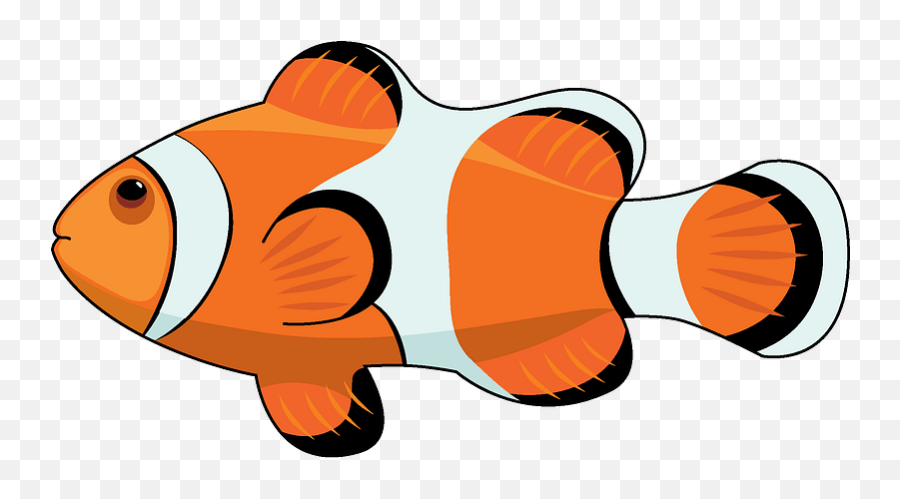 Clownfish Clipart - Clown Fish Clipart Png,Clownfish Png