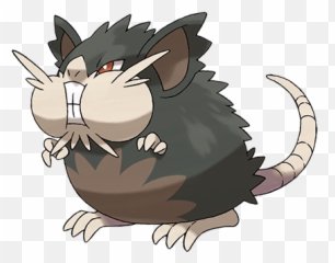 Alolan Raticate - Raticate Alola Png,Rattata Png
