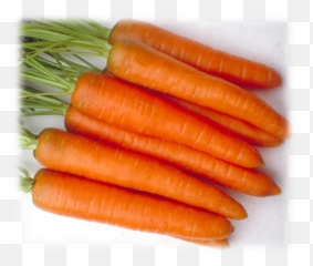 Zanahoria Danvers Half Long 126 Semillas - Baby Carrot Png,Zanahoria Png