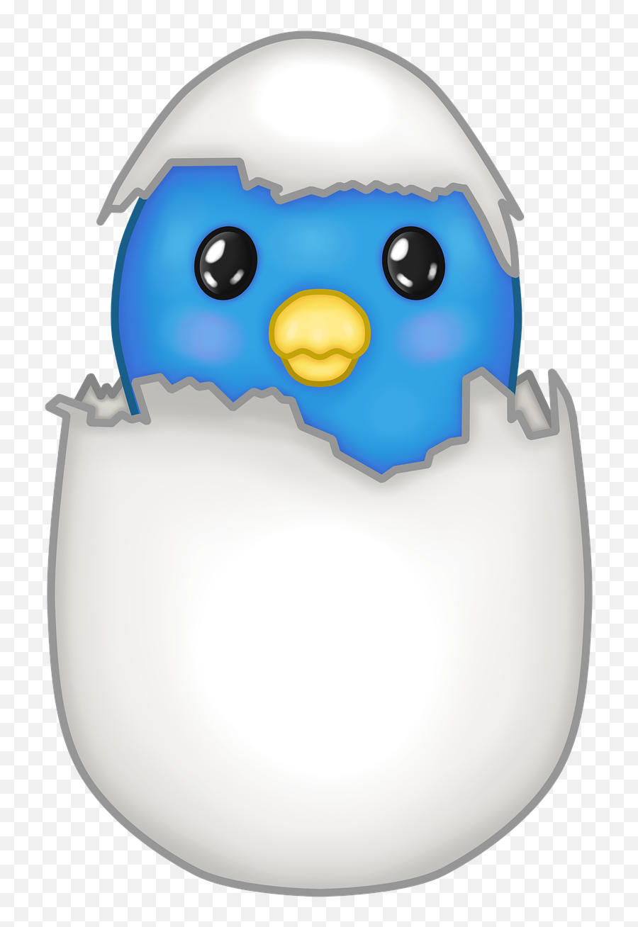 Blue Bird Egg Broken - Pajaro En Un Huevo Dibujo Png,Bluebird Icon