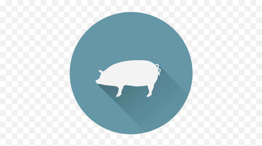 Pork - Icon Moweaqua Packing Plant Logo De Carne De Cerdo Png,Pig Icon