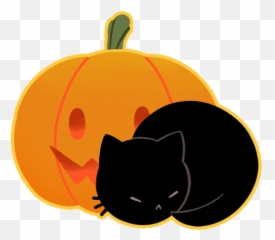 Cat Halloween Sticker - Gato Discover Gif png