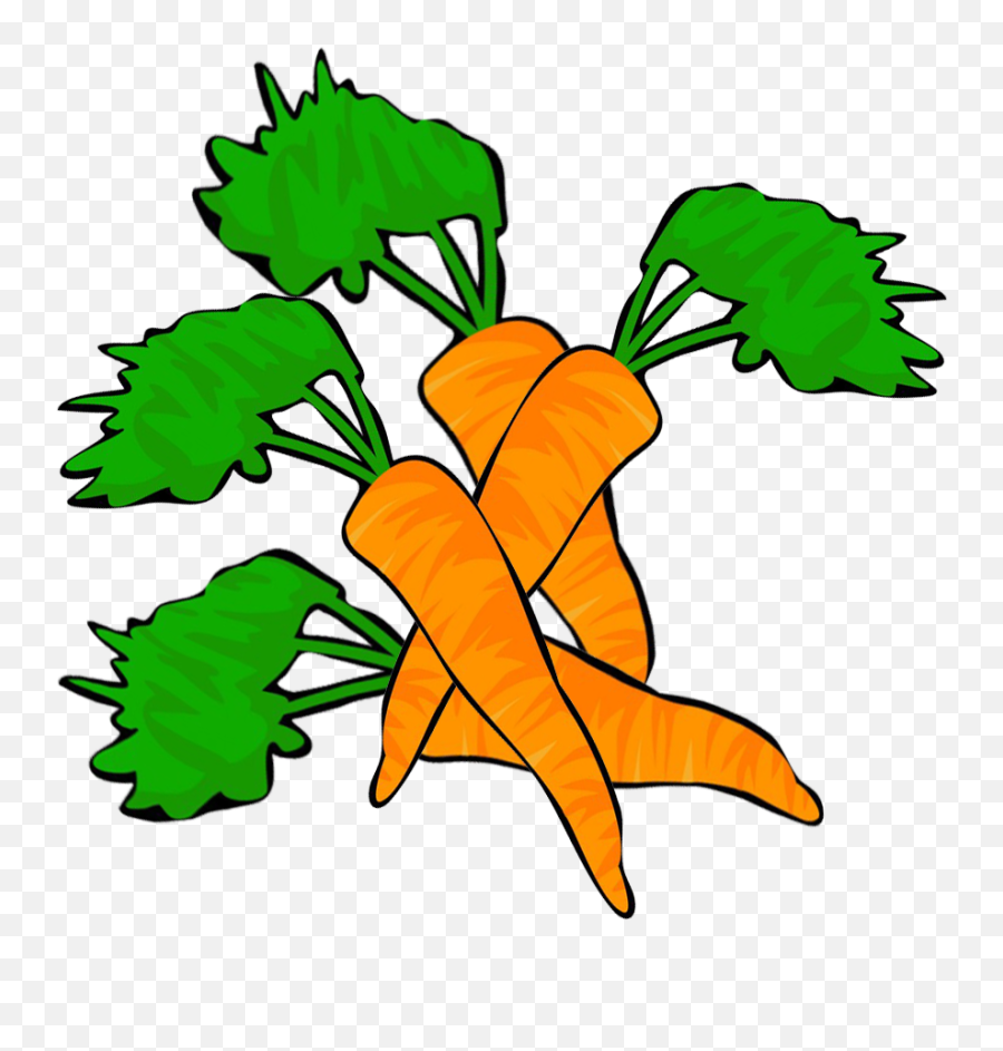 Vegetables Clipart - Clip Art Png,Carrot Transparent Background