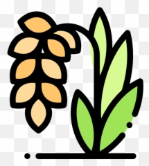 Rice Free Vector Icons Designed By Freepik In 2021 - Instagram Highlights Icons Png,Barley Icon