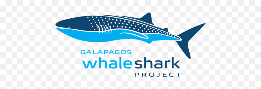 Stop Shark Fin Trade Declaration Allies - Galapagos Whale Shark Project Png,Sharks Png