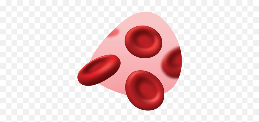 Full - Service Digital Agency Samovaragency Dot Png,Blood Cell Icon