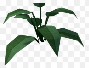 Large Leaf Bush Runescape Wiki Fandom - Runescape Bush png