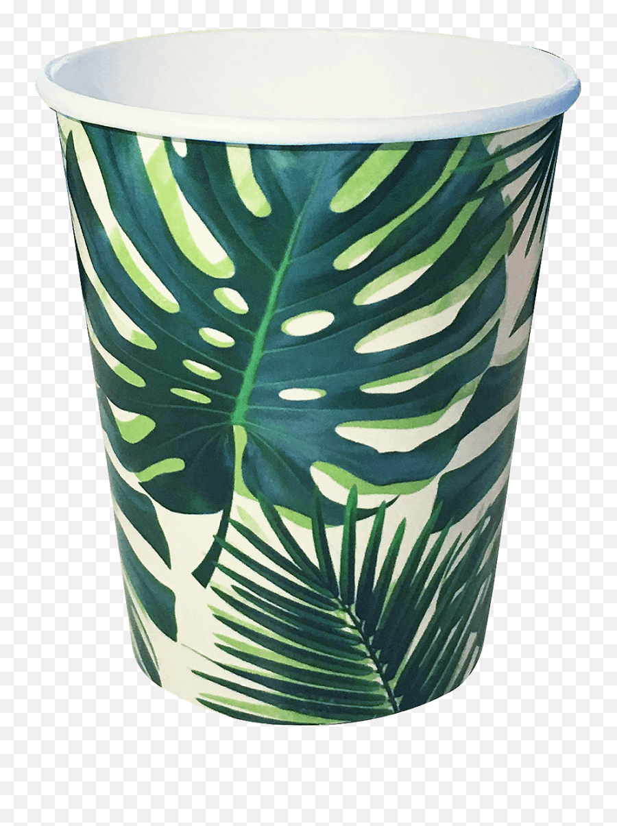 Tropical Palm Leaf Paper Cups - Gobelets Tropical Png,Palm Leaves Transparent