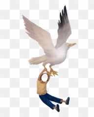 Download Seagulls - Psychonauts The Forgotten Children Pigeons And Doves Png,Seagulls Png