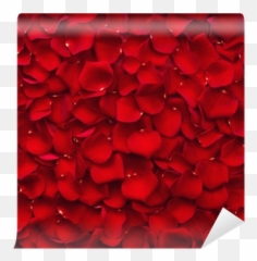 Background Of Red Rose Petals Wall Mural U2022 Pixers We Live To Change - Wrapping Paper png