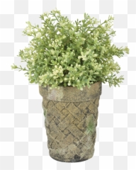 Ac Long Toms Moss - Esschert Design Flowerpot png