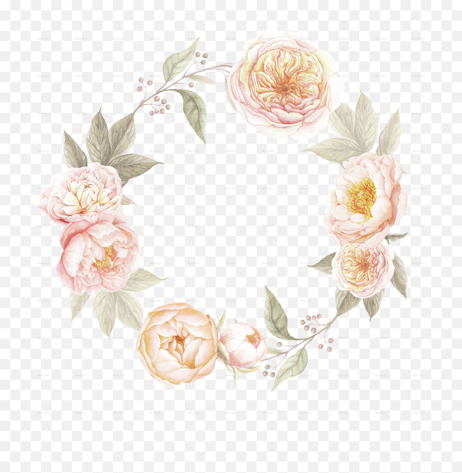 Peony Clipart Free Download - Transparent Background Floral Wreath Clipart Png,Peonies Png