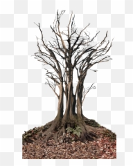 Free Transparent Dead Tree Png Images Page 1 Pngaaa Com