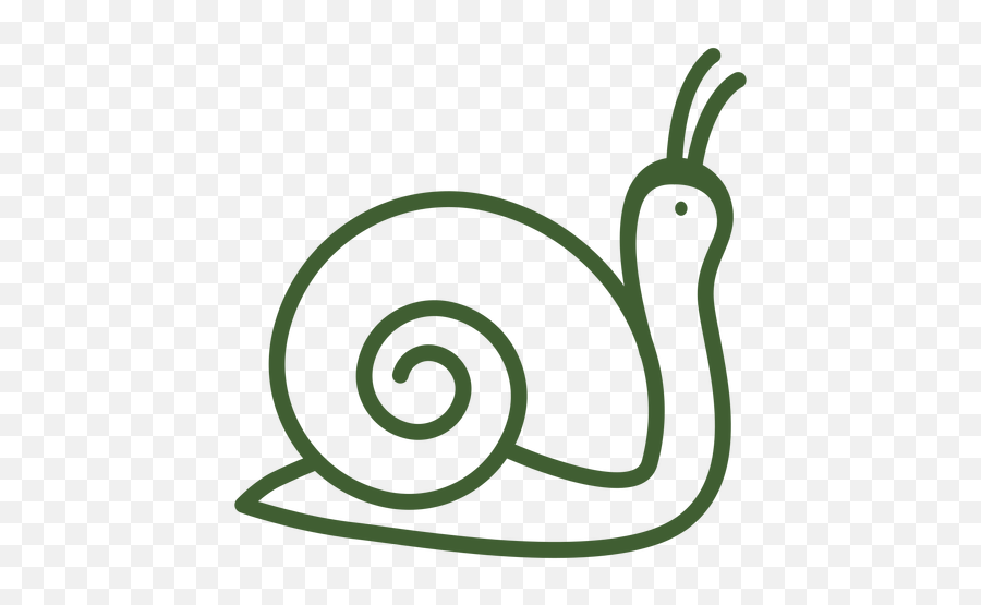 Transparent Png Svg Vector File - Snail Icon Png,Snail Png