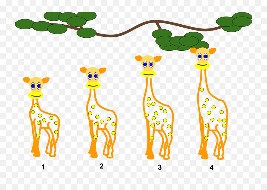 Lamarckian Inheritance - Lamarckian Inheritance Png,Neck Png