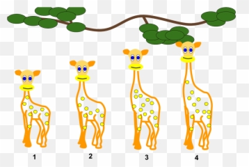 Lamarckian Inheritance - png