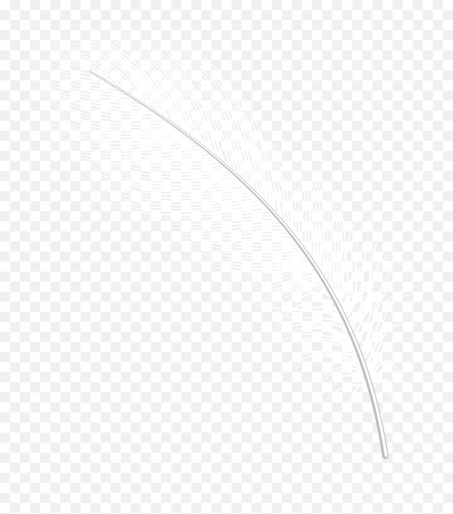 White Feathers Png Picture Black Feather