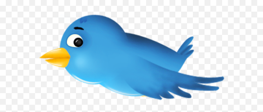 Pando So Not Helping Chinese Government Publication Lauds - Twitter Bird Png,Twitter Bird Transparent
