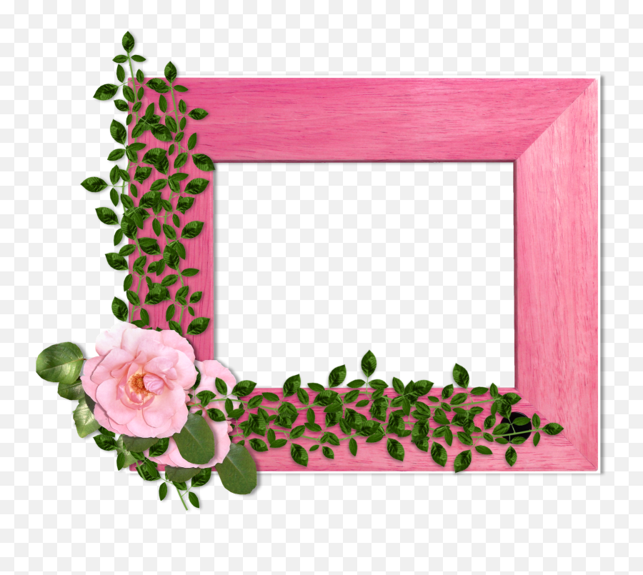 Download Flowers - Garden Roses Png Image Portaretratos De Flores Png,Wood Background Png