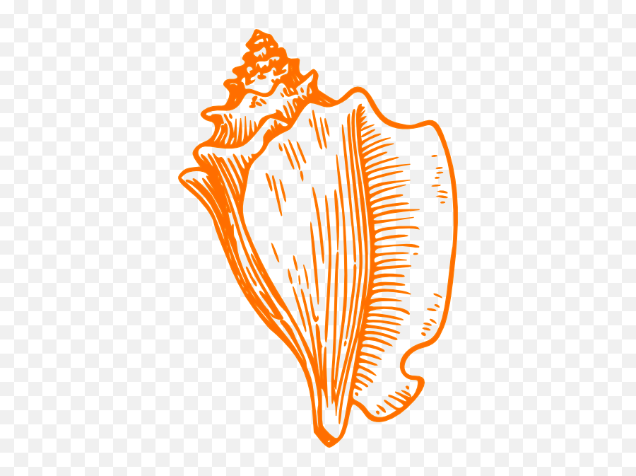 Download Seashell Template Free Clipart Png - Clip Art Conch Shell,Seashells Png