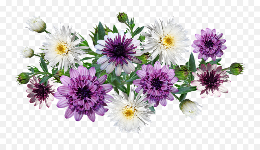 Flowers Leaves Daisies Arrangement - Circulo De Flores Lilas Png,Daisies Png