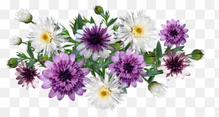 Flowers Leaves Daisies Arrangement - Circulo De Flores Lilas Png,Daisies Png