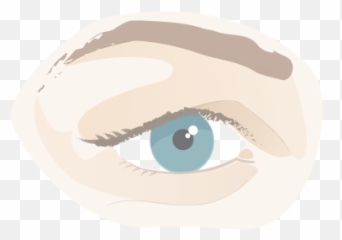 Eyelid - Circle Png,Eyelid Png