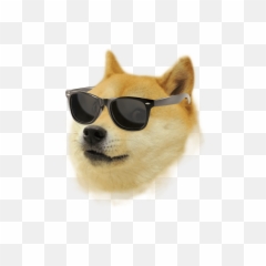 Shiba Inu Kabosu Dogecoin Dreamcatcher Download Hq - Doge Shiba Inu Png Transparent,Dogecoin Png