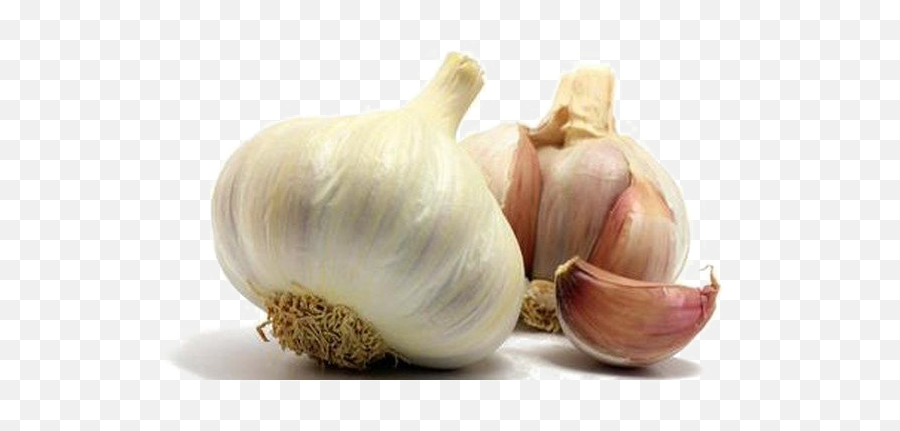 Garlic Png Photo - Garlic Full Hd,Garlic Png
