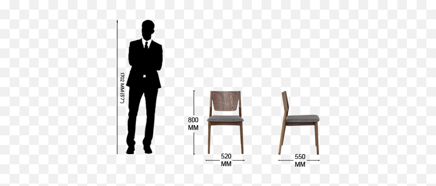 Dining Cum Easy Chair For Room - Chair Png,Person Sitting In Chair Back View Png