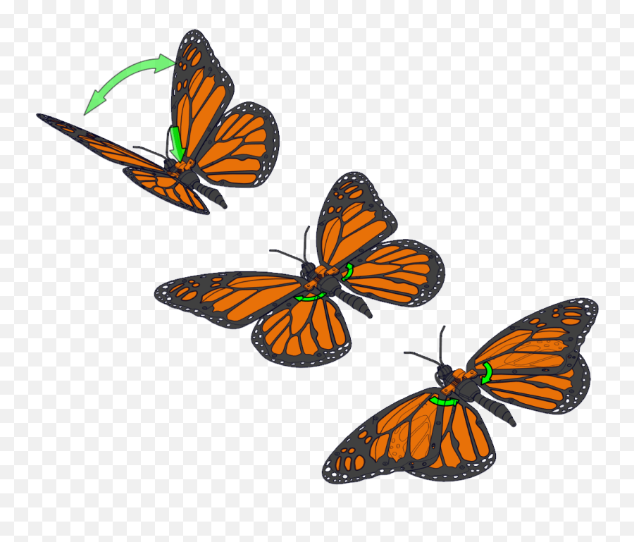 Articulated Monarch Butterfly Papillon Monarque Articulé - Monarch Butterfly Png,Monarch Butterfly Icon