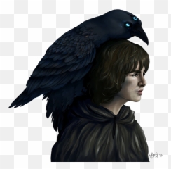 Bran Stark Png Transparent Image Arts