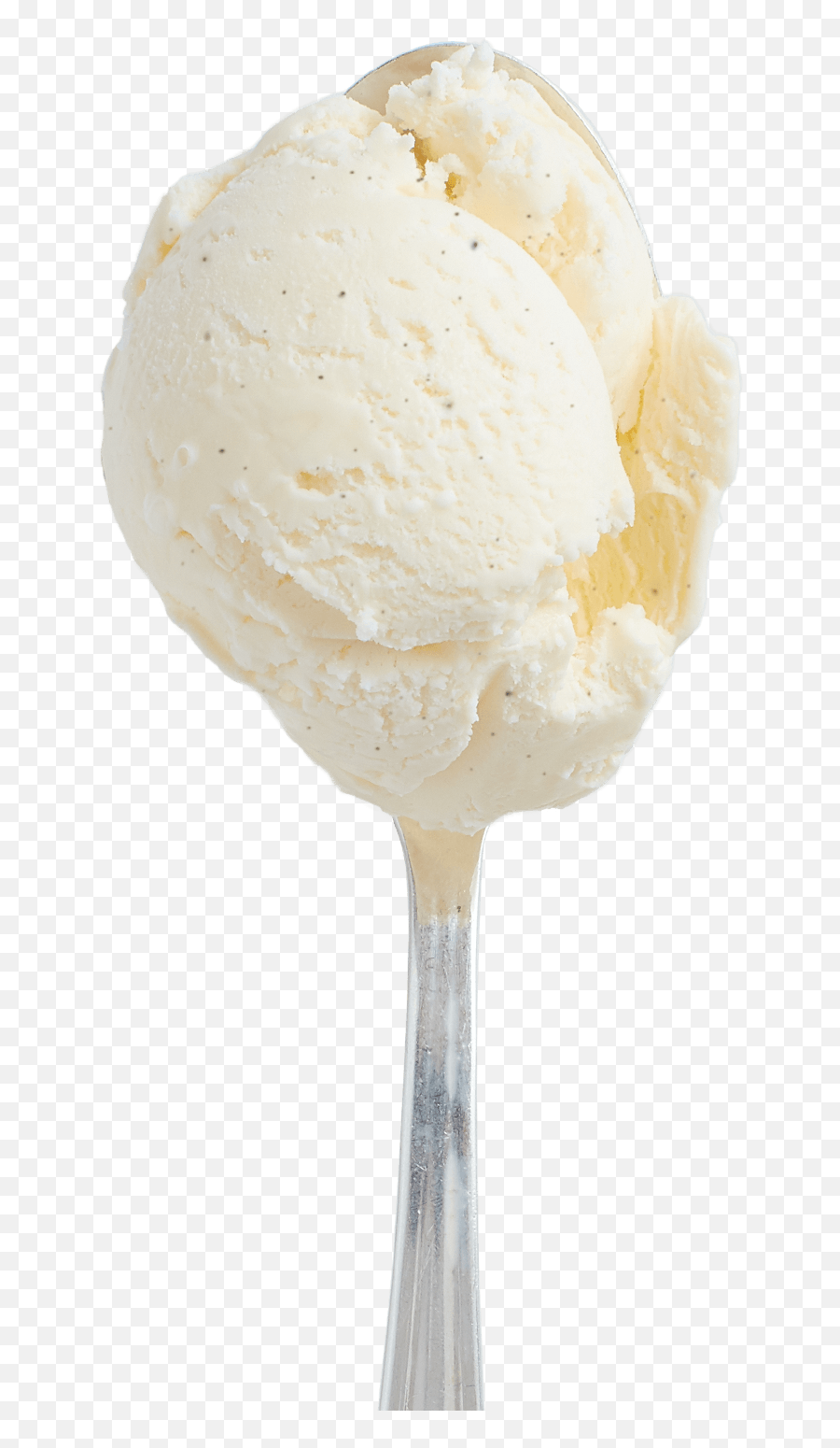 Vanilla Bean - Hudsonville Ice Cream Hudsonville Vanilla Ice Cream Png,Vanilla Bean Icon