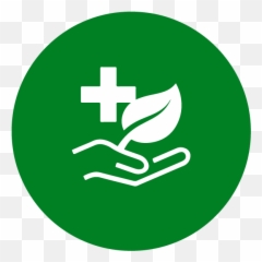 Project Facilitator - Safe Surgery Volunteer Opportunities png