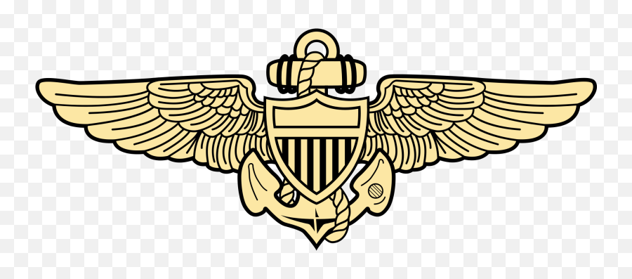 Picture - Naval Aviator Wings Transparent Background Png,Gold Wings Png