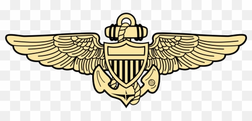 Picture - Naval Aviator Wings Transparent Background Png,Gold Wings Png