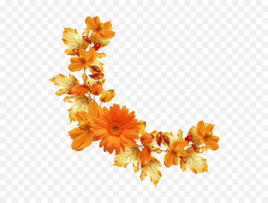 Orange Floral Border Png Image - Transparent Background Orange Flower Png,Orange Flowers Png