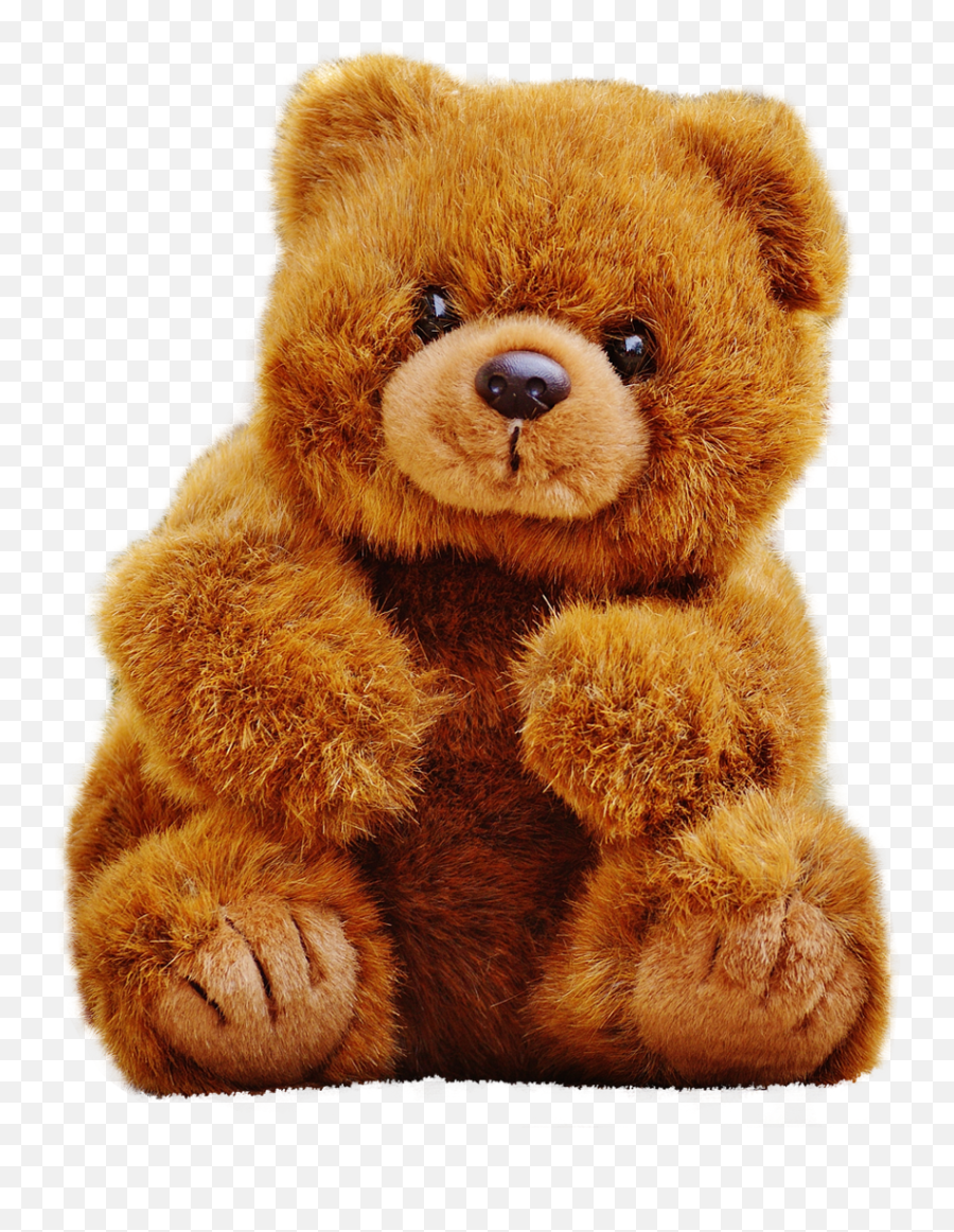 Teddy Bear Png Image - Teddy Bear Png Transparent,Teddy Bear Clipart Png