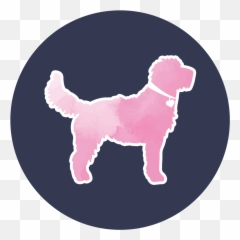 Bunny U2014 Classy Doodles - Dog Supply png
