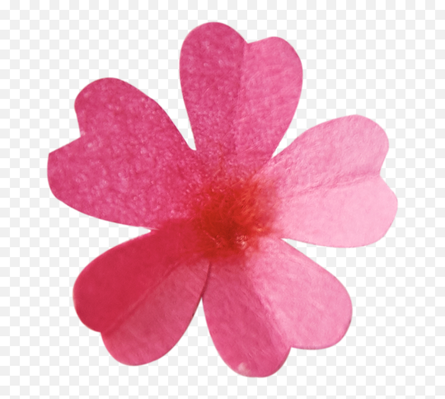 Spring Flowers V2 - Girly Png,Cherry Blossom Icon