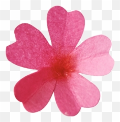 Spring Flowers V2 - Girly png