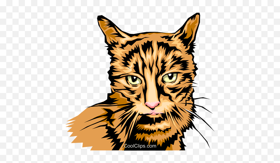 Cool Looking Cat Royalty Free Vector Cli 958282 - Png Cool Cat Vector Transparent,Cat Vector Png