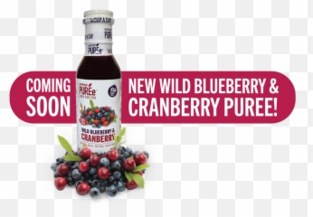 Healthy Berries Ltd - Frutti Di Bosco Png,Berries Png