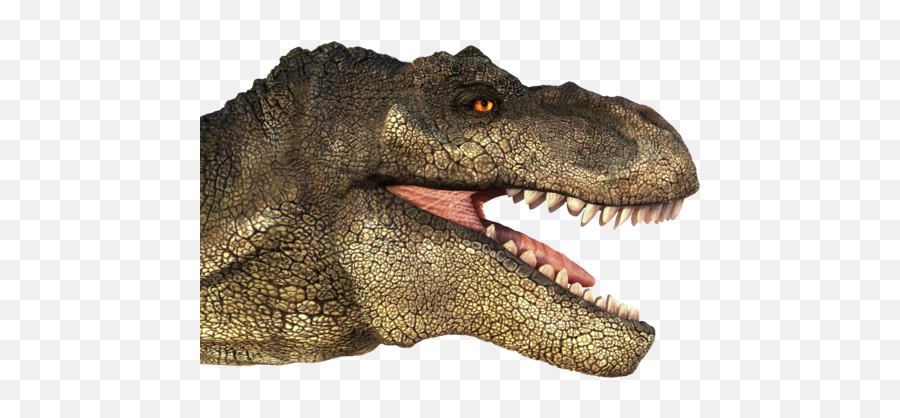 T Rex Head Png Transparent Headpng Images Pluspng - T Rex Head Transparent Background,Dinosaur Transparent Background