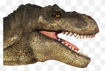 T Rex Head Png Transparent Headpng Images Pluspng - T Rex Head Transparent Background,Dinosaur Transparent Background