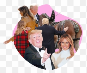Flipboard In Honor Of Donald And Melaniau0027s Wedding - Fun png